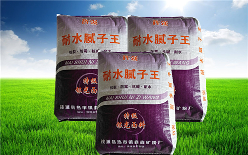 辉强耐水腻子王